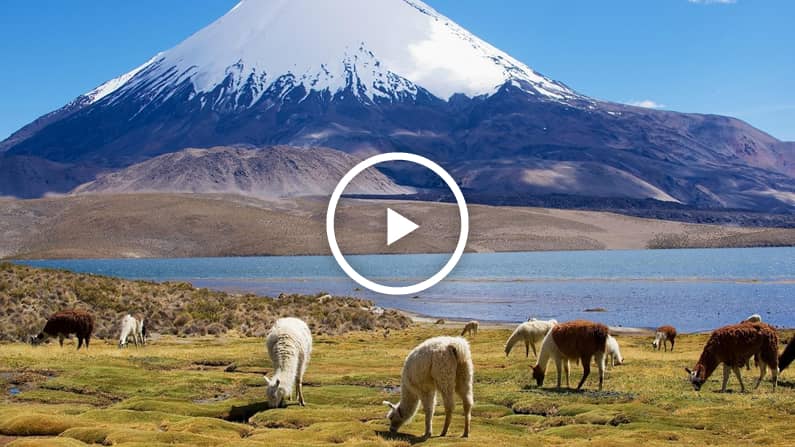 Cali Tours - Operador Turí­stico