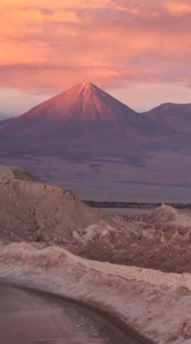 Reserva Nacional Las Vicuñas