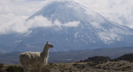 (AR-0036) Parque Nacional Lauca - Full Day