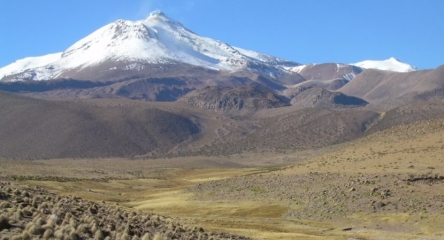 (AR-0037) Reserva Nacional Las Vicuñas - Full Day