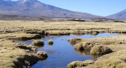 PN Isluga + RN Las Vicuñas + PN Lauca 3D/2N