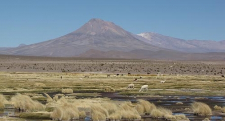 PN Isluga + RN Las Vicuñas + PN Lauca 3D/2N