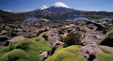 (BPL-0110) Parque Nacional Lauca Full Day