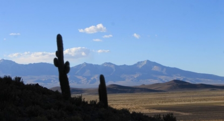 (AR-0032) Parque Nac. Lauca + Reserva Nac. Las Vicuñas + Parque Nac. Volcán Isluga 3D/2N FD