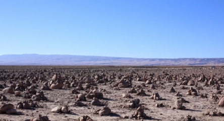 (AR-0022) Precordillera + Reserva Nac. Las Vicuñas + Parque Nac. Lauca 4D/3N