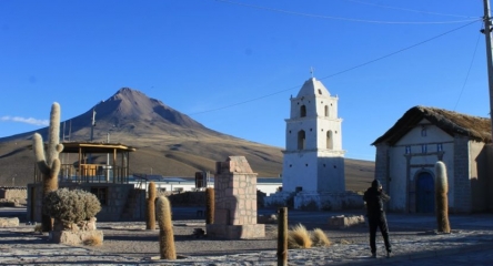 (BRV-0333) Reserva Nacional Las Vicuñas + Parque Nacional Volcán Isluga 2D/1N