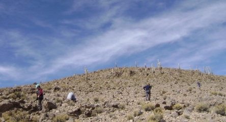 (AR-0031) Parque Nac. Lauca + Reserva Nac. Las Vicuñas + Parque Nac. Volcán Isluga 4D/3N