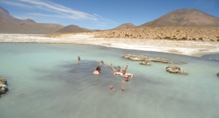 (BRV-0330) Reserva Nacional Las Vicuñas Full Day