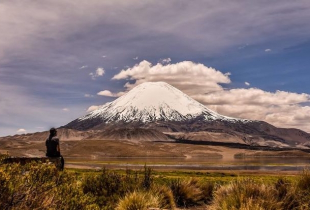 Excursión en Servicio Privado