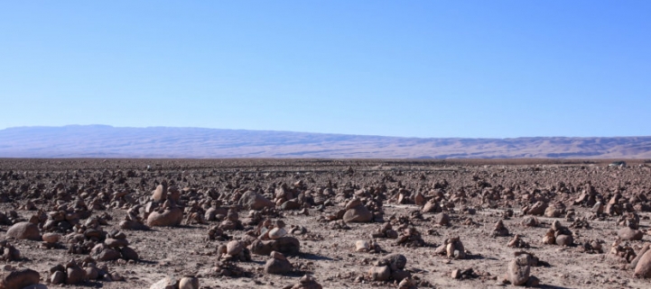 (AR-0022) Precordillera + Reserva Nac. Las Vicuñas + Parque Nac. Lauca 4D/3N