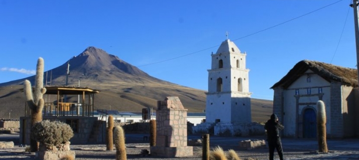 (BRV-0333) Reserva Nacional Las Vicuñas + Parque Nacional Volcán Isluga 2D/1N