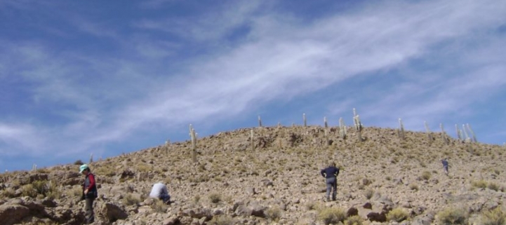 (AR-0031) Parque Nac. Lauca + Reserva Nac. Las Vicuñas + Parque Nac. Volcán Isluga 4D/3N