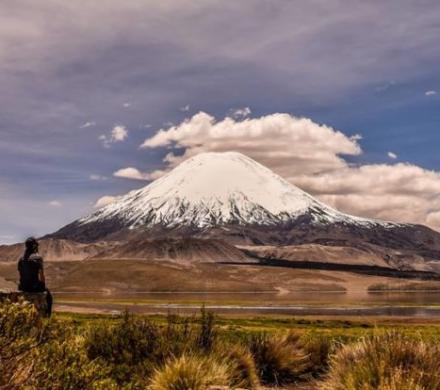 Excursión en Servicio Privado