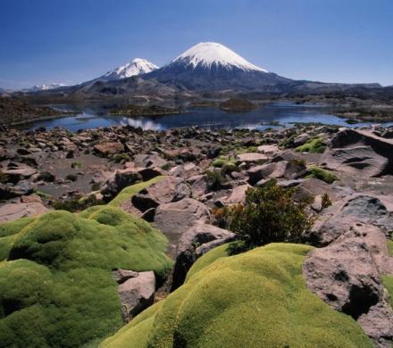 (BPL-0110) Parque Nacional Lauca Full Day