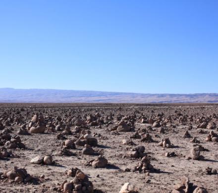(AR-0022) Precordillera + Reserva Nac. Las Vicuñas + Parque Nac. Lauca 4D/3N