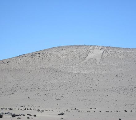 (AR-0029) Parque Nac. Lauca + Reserva Nac. Las Vicuñas + Parque Nac. Volcán Isluga + Geoglifos de Pintados + Reserva Nac. Pampa del Tamarugal 5D/4N