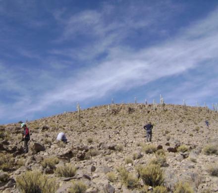 (AR-0031) Parque Nac. Lauca + Reserva Nac. Las Vicuñas + Parque Nac. Volcán Isluga 4D/3N