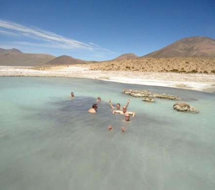 (BRV-0330) Reserva Nacional Las Vicuñas Full Day