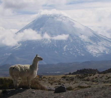 (AR-0036) Parque Nacional Lauca - Full Day