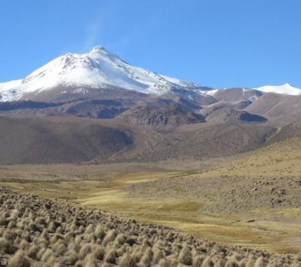 (AR-0037) Reserva Nacional Las Vicuñas - Full Day