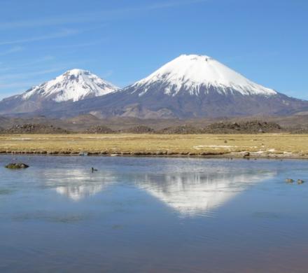 (AR-0035) Parque Nacional Lauca - 2D/1N