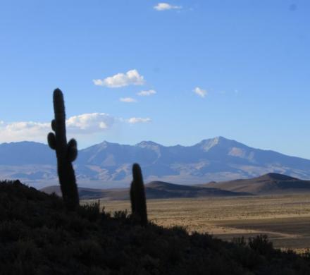 (AR-0032) Parque Nac. Lauca + Reserva Nac. Las Vicuñas + Parque Nac. Volcán Isluga 3D/2N FD