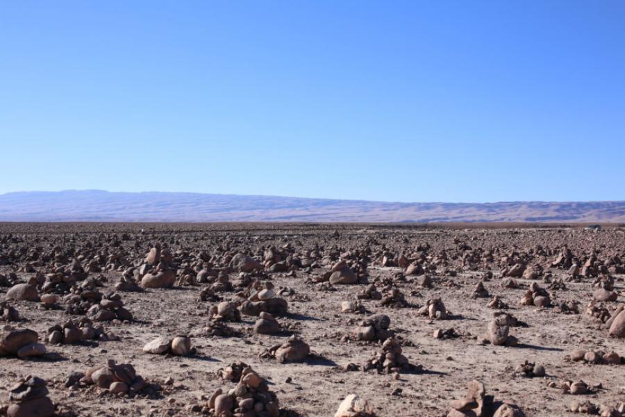 (AR-0022) Precordillera + Reserva Nac. Las Vicuñas + Parque Nac. Lauca 4D/3N
