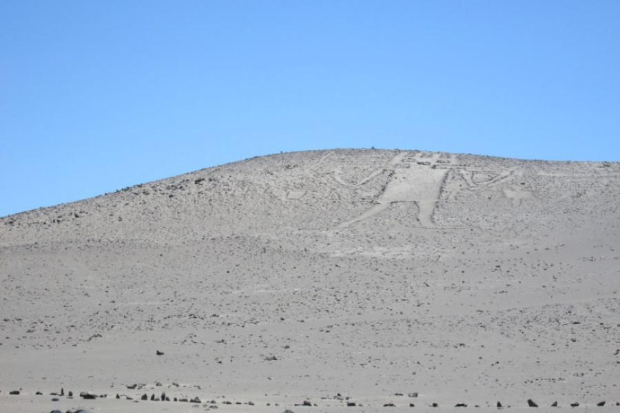 (AR-0029) Parque Nac. Lauca + Reserva Nac. Las Vicuñas + Parque Nac. Volcán Isluga + Geoglifos de Pintados + Reserva Nac. Pampa del Tamarugal 5D/4N