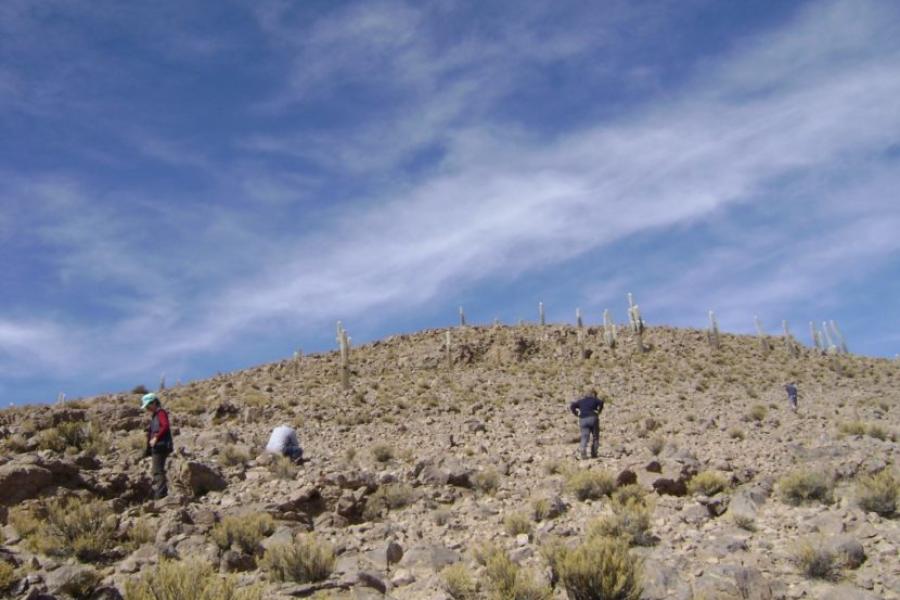 (AR-0031) Parque Nac. Lauca + Reserva Nac. Las Vicuñas + Parque Nac. Volcán Isluga 4D/3N