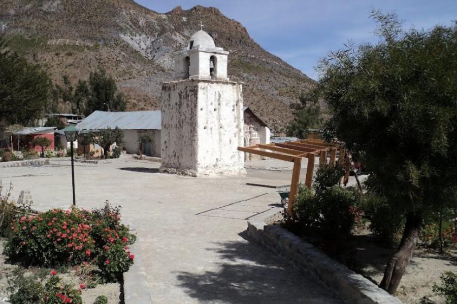 (AR-0025) Parque Nac. Lauca + Precordillera 3D/2N FD