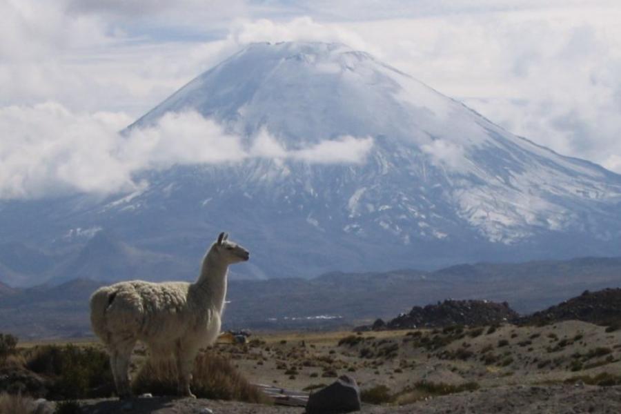 (AR-0036) Parque Nacional Lauca - Full Day