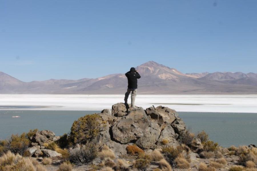 Parque Nac. Volcán Isluga + Reserva Nac. Las Vicuñas + Parque Nac. Lauca 3D/2N