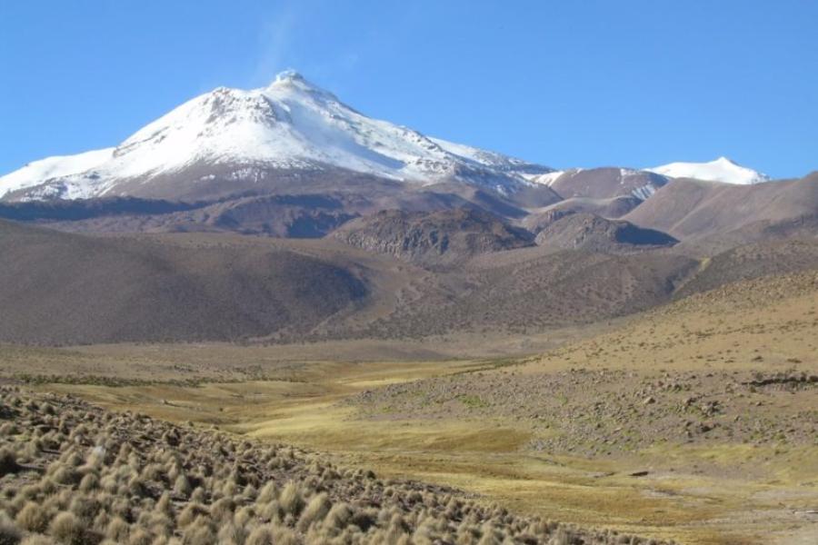 (AR-0037) Reserva Nacional Las Vicuñas - Full Day