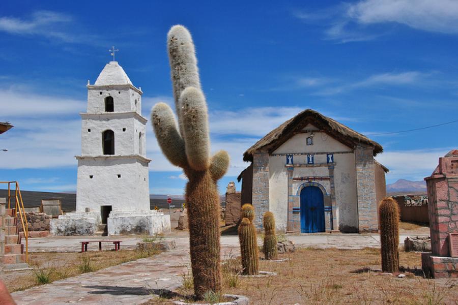 Parque Nac. Volcán Isluga + Reserva Nac. Las Vicuñas + Parque Nac. Lauca 5D/4N