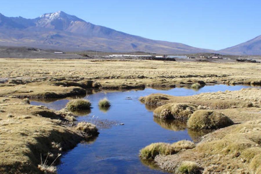 PN Isluga + RN Las Vicuñas + PN Lauca 3D/2N