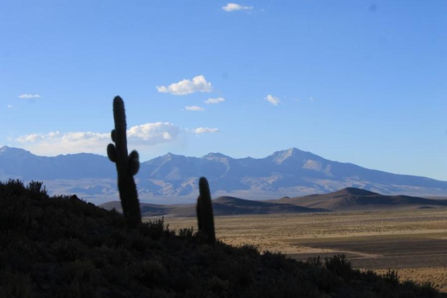 (AR-0032) Parque Nac. Lauca + Reserva Nac. Las Vicuñas + Parque Nac. Volcán Isluga 3D/2N FD